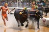 Decision on Kambala after President’s move on bill, says Supreme Court